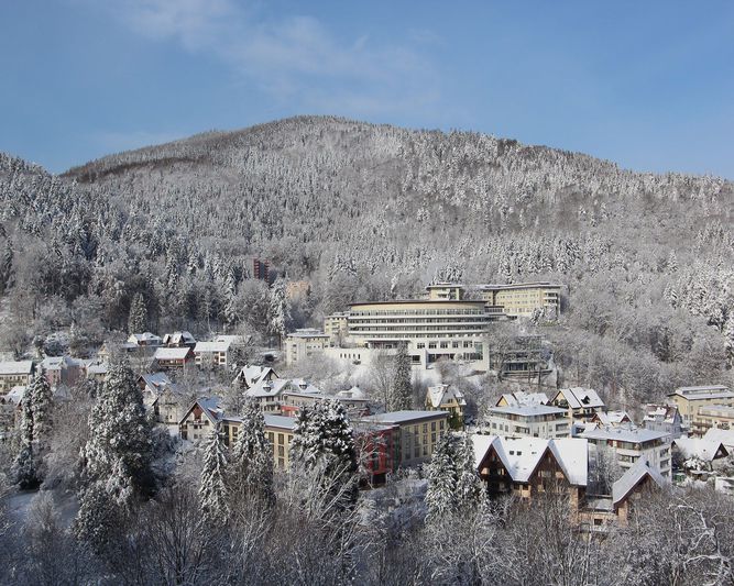Abb. SCHWARZWALD PANORAMA